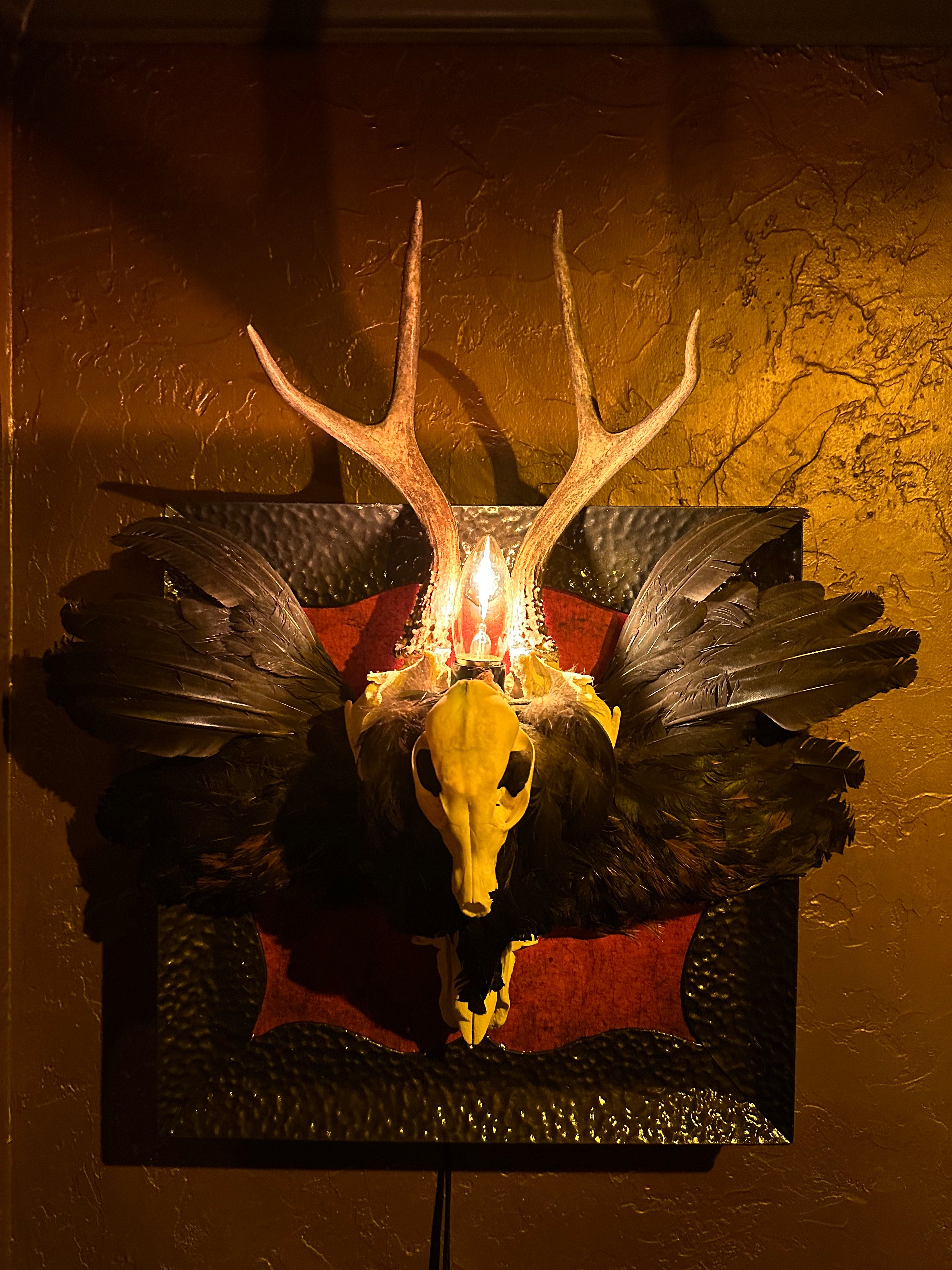 Pig Skull & Antler Wall Light